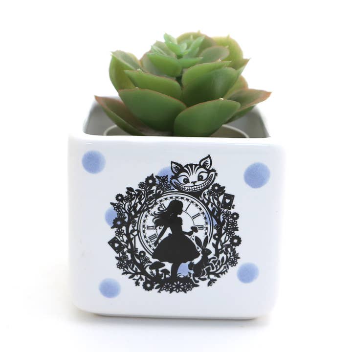 Alice in Wonderland mini planter, small succulent planter for wholesale by Lenny Mud