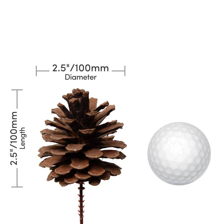 Jacobson - Wholesale Dried/Pressed Flowers - 8.5"OAL Natural Brown Pinecone on Pick1