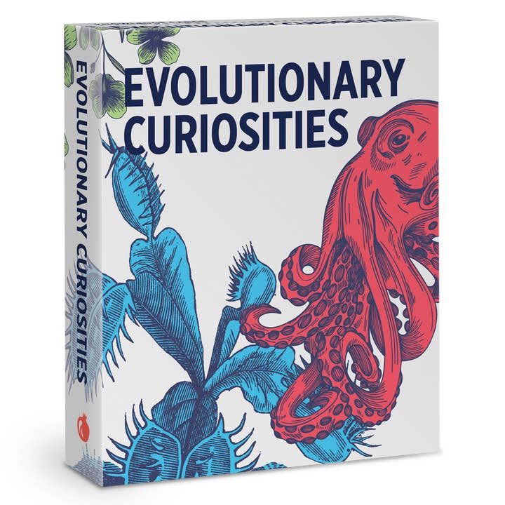 Pomegranate – wholesale Card game – Evolutionary Curiosities Knowledge Cards0