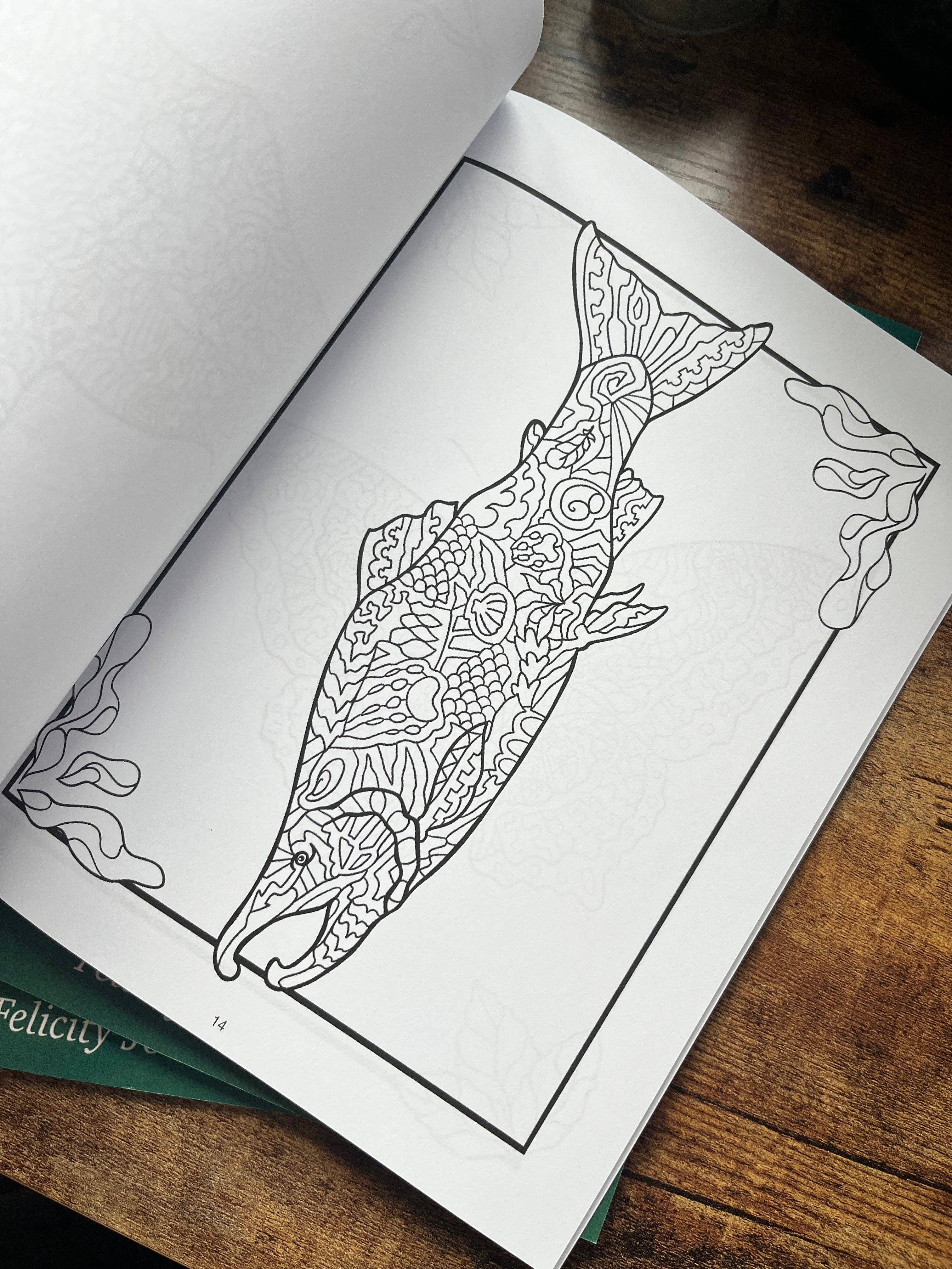 FJ Creations - Wholesale Coloring & Activity Book - Adult - Doodle Alaska 2 Coloring Book of Alaska2