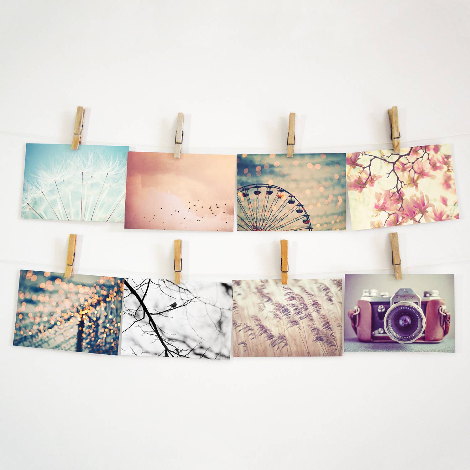 Justepixx - Wholesale Postcard - Postcard birds in the sky A65