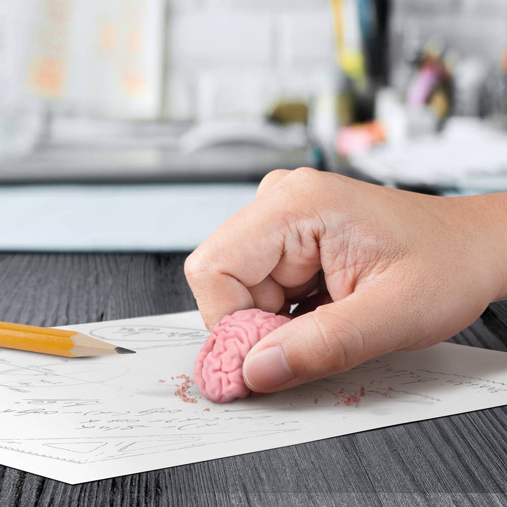 Fred & Friends - Wholesale Eraser - Think Again - Brain Eraser3