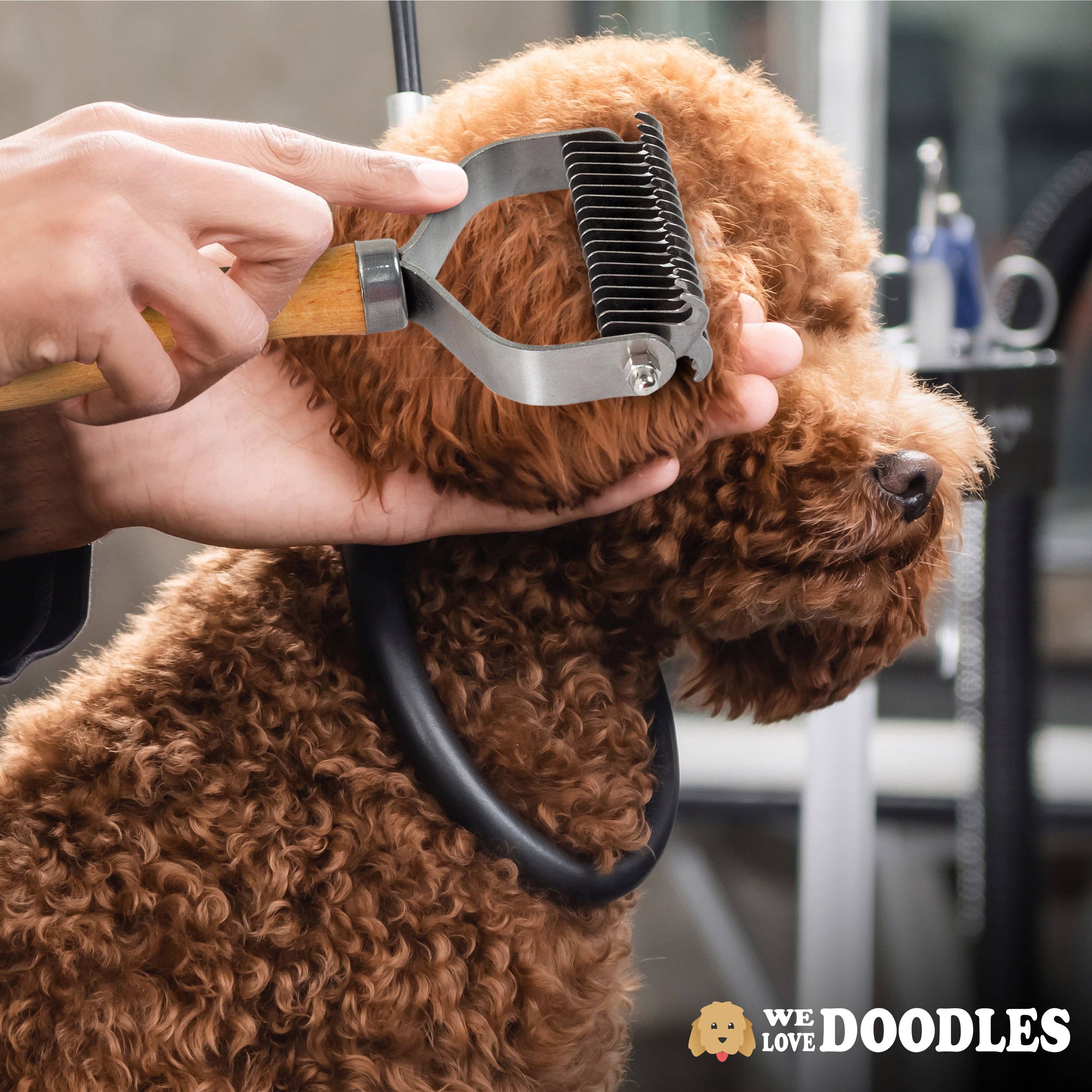 We Love Doodles – wholesale Verktyg för husdjursvård – Hund – Avmattning verktyg för hundpäls6
