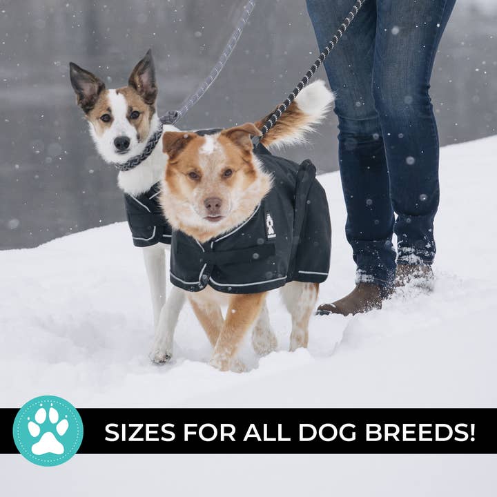 Shedrow K9 - Wholesale Pet Raincoat - Dog - Shedrow K9 Harbour 2.0 Rain Coat - Black