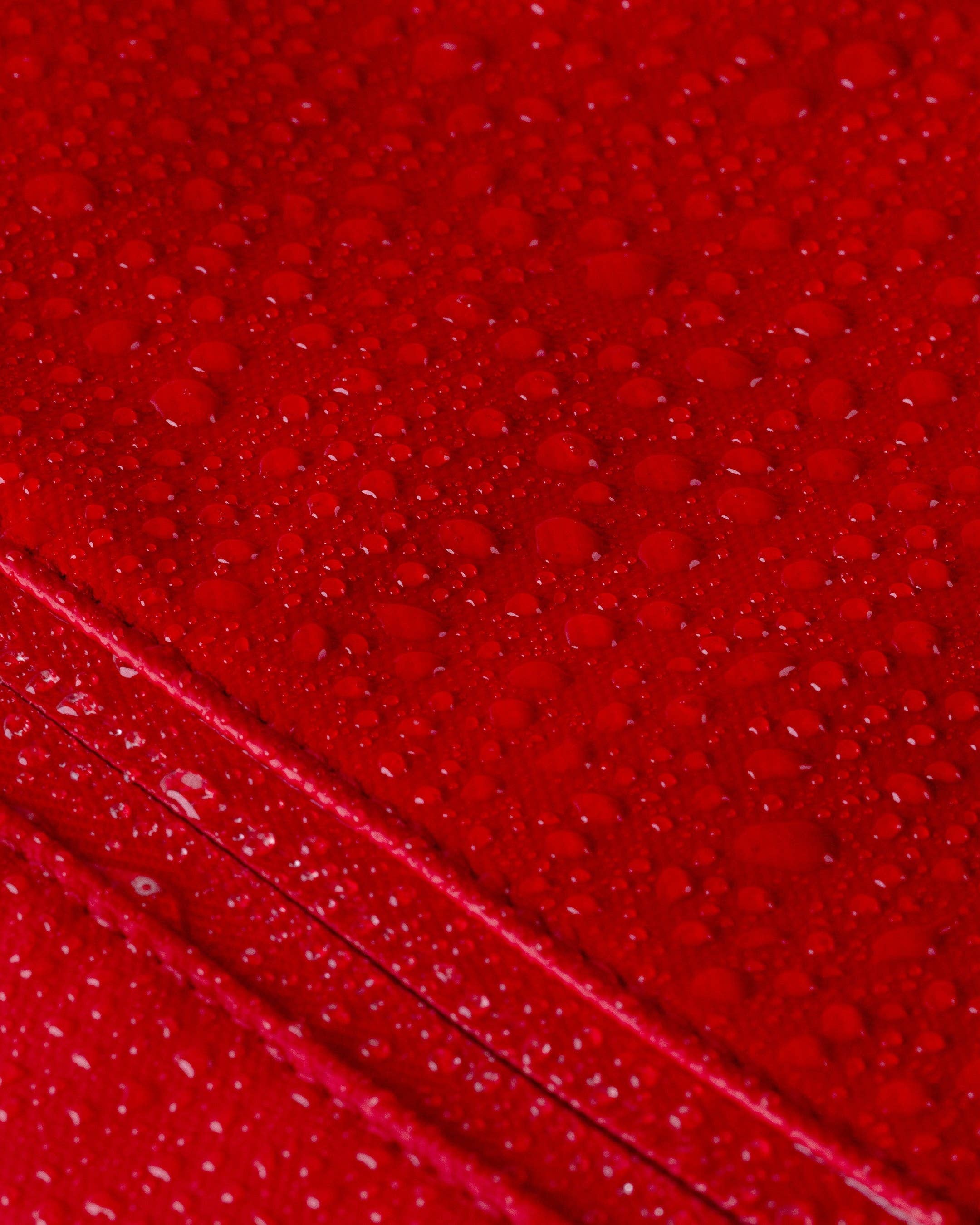 Portland Gear - Wholesale Rugzak - Uniseks - Cascade-rugzak - standaard100