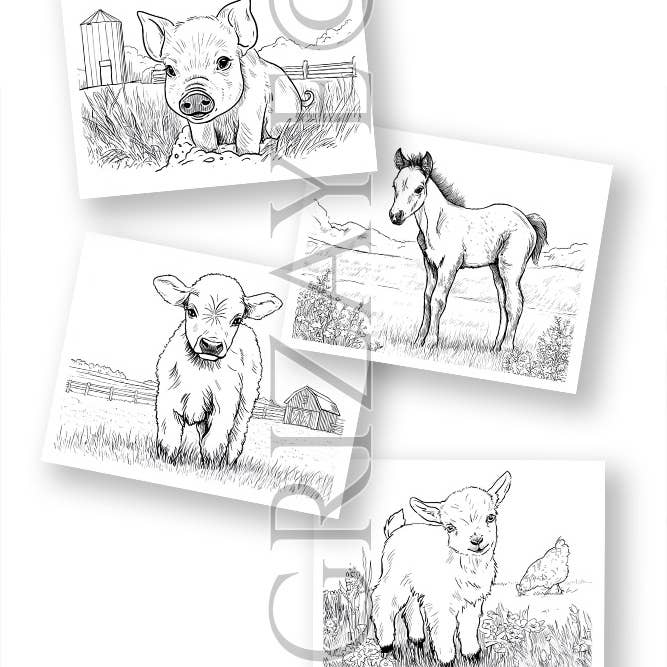 Grizaye - Wholesale DIY Craft Kit - Watercolor Kit: Farm Babies4