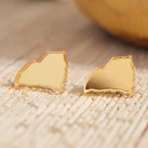 Boucles d'oreilles en acrylique State Shape pour la vente par The Adorned Fox