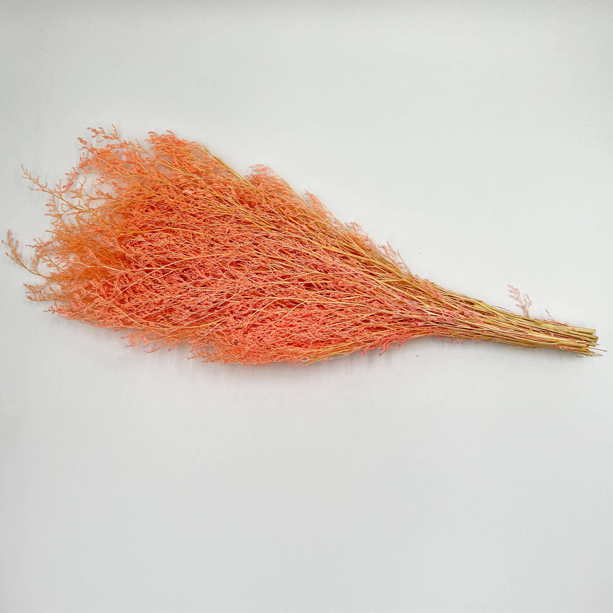 2626 Designs - Wholesale Dried/Pressed Flowers - Dried Preserved Valentin Grass Bouquet 21" Multiple Colors11