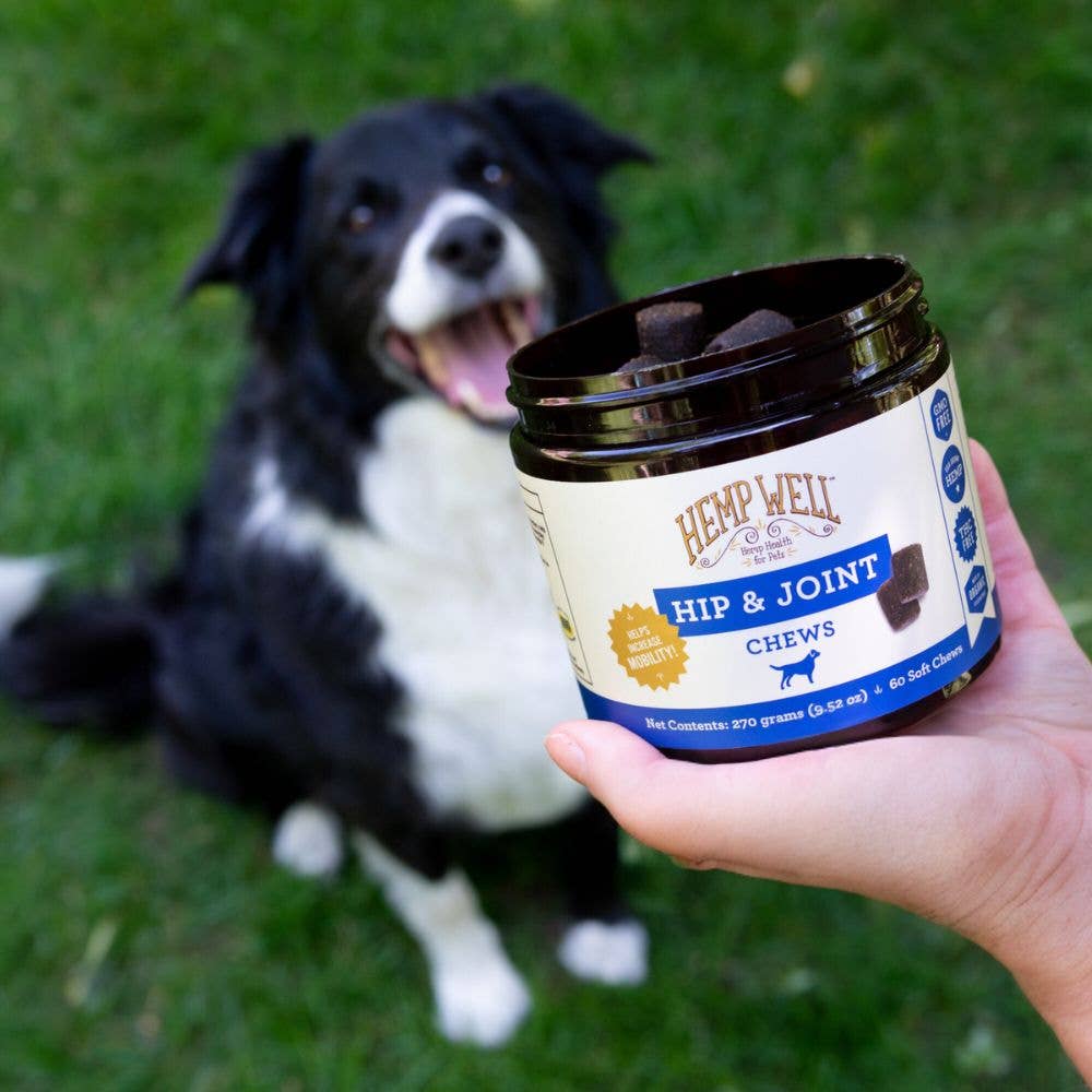 Hemp Well - Wholesale Pet Supplement - Dog - Hemp Well Hip & Joint Dog Soft Chews2