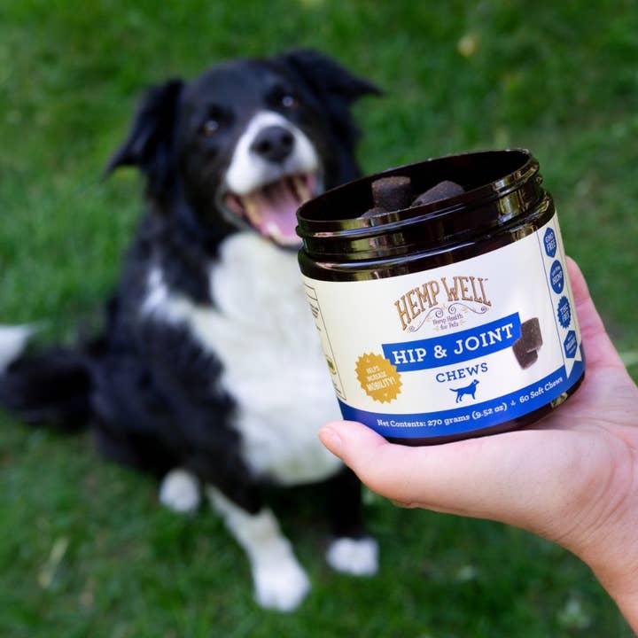 Hemp Well - Wholesale Pet Supplement - Dog - Hemp Well Hip & Joint Dog Soft Chews2