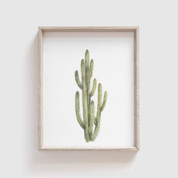 Spikey Cactus Nº 4 - Póster artístico para venta al por mayor de Tabitha Paige