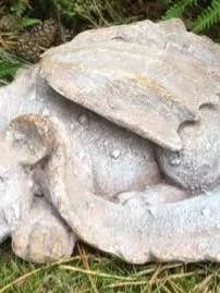 Vriendelijke draak voor wholesale door ABitQuackers