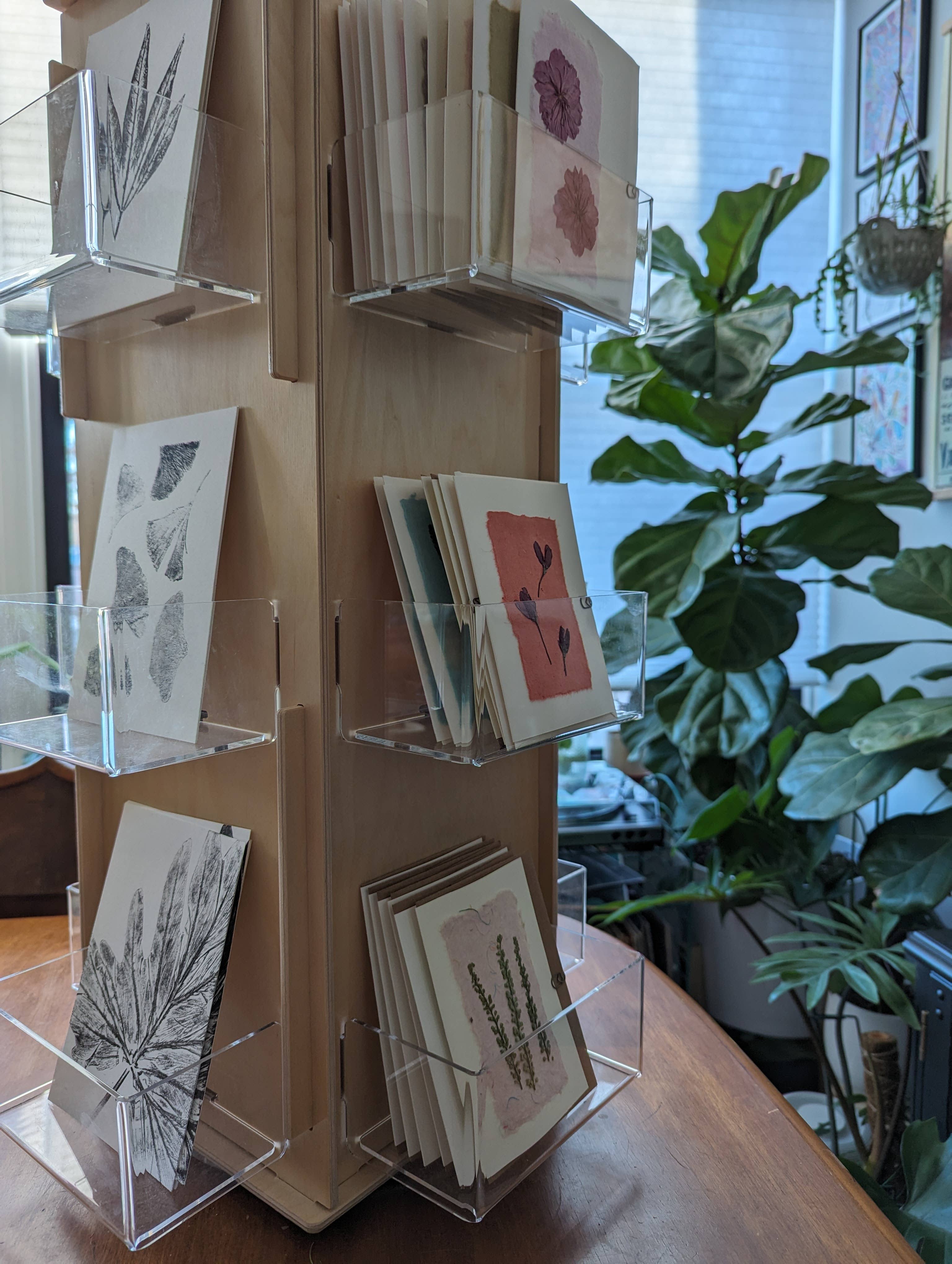 Reclaimed Gardens - Wholesale Everyday Greeting Card - Pressed Flower Greeting Cards (Blank)6