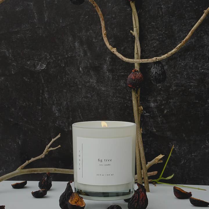 roote - Wholesale Jar/Filled Candle - Large Scented Soy Candle - Fig Tree - LG2