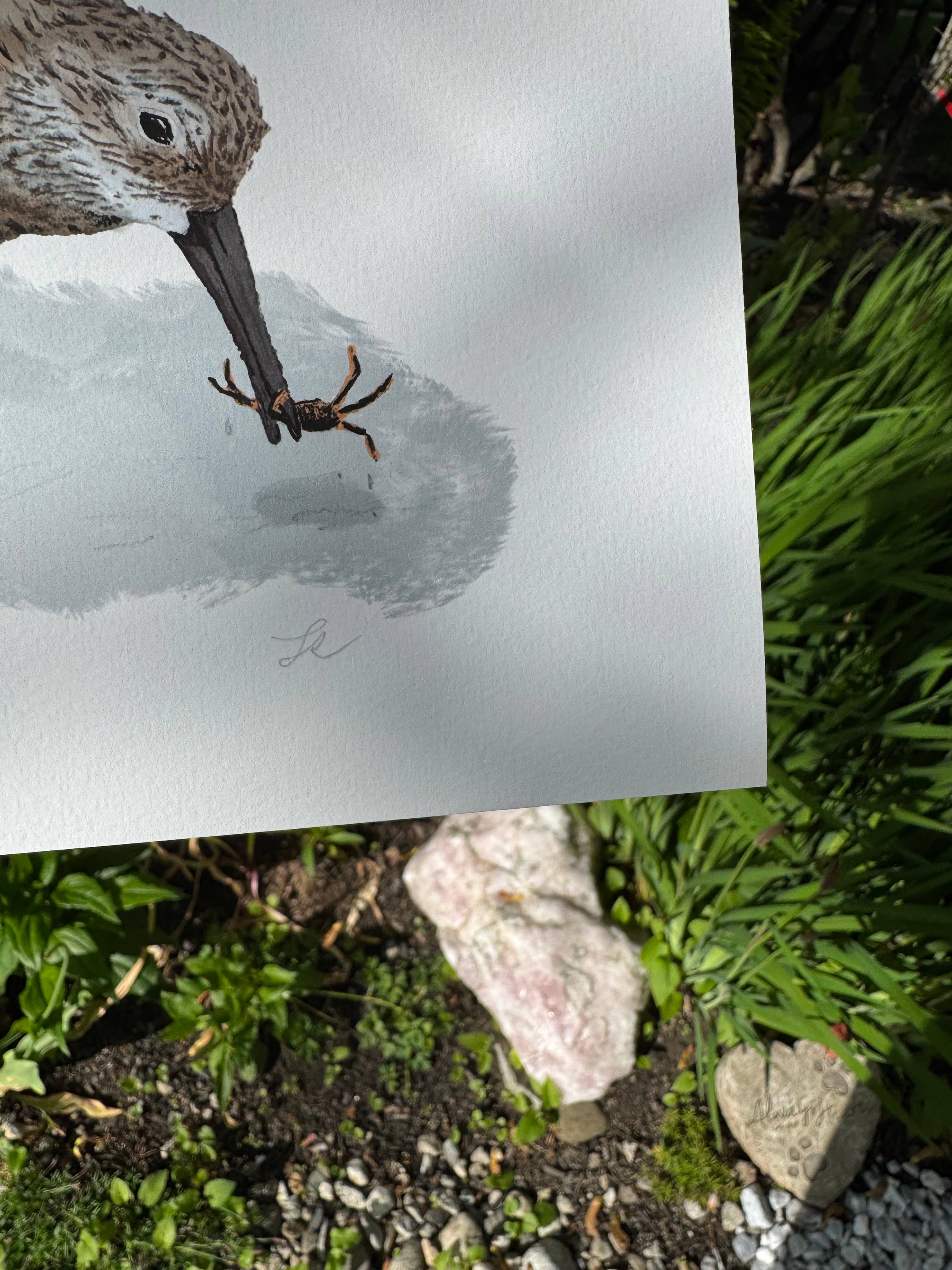 Portland Design Co - Wholesale Art Print - Sand Piper Signed Print2