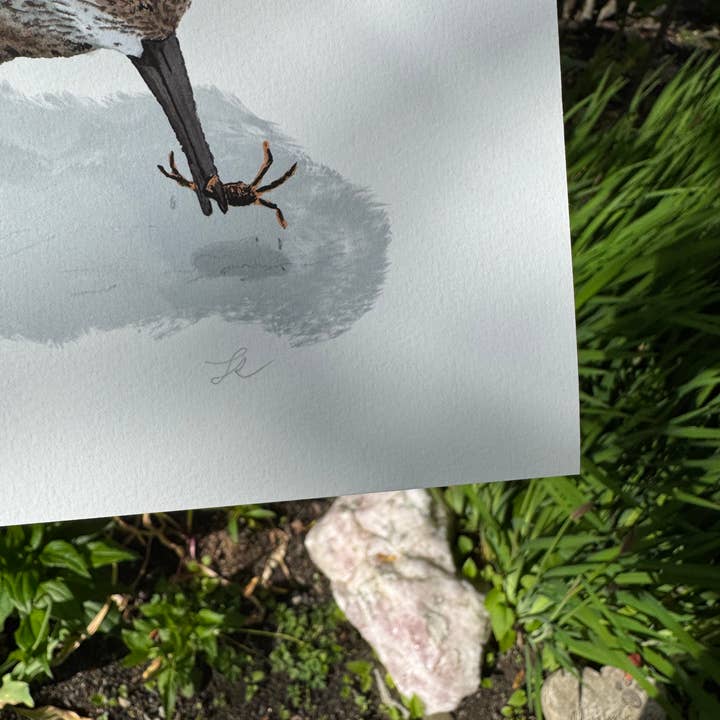 Portland Design Co - Wholesale Art Print - Sand Piper Signed Print2