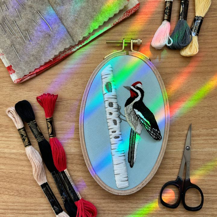 Pic occupé — Kit avancé de broderie 3D pour oiseau pour la vente par MCreativeJ