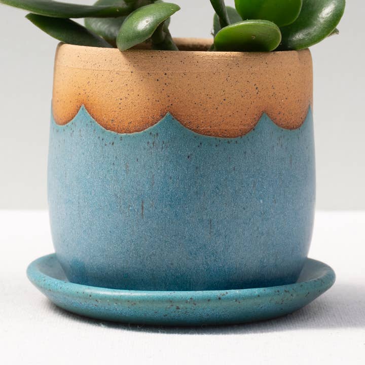 Mini Planter in Turquoise Wave for wholesale by Pamela Ceramics