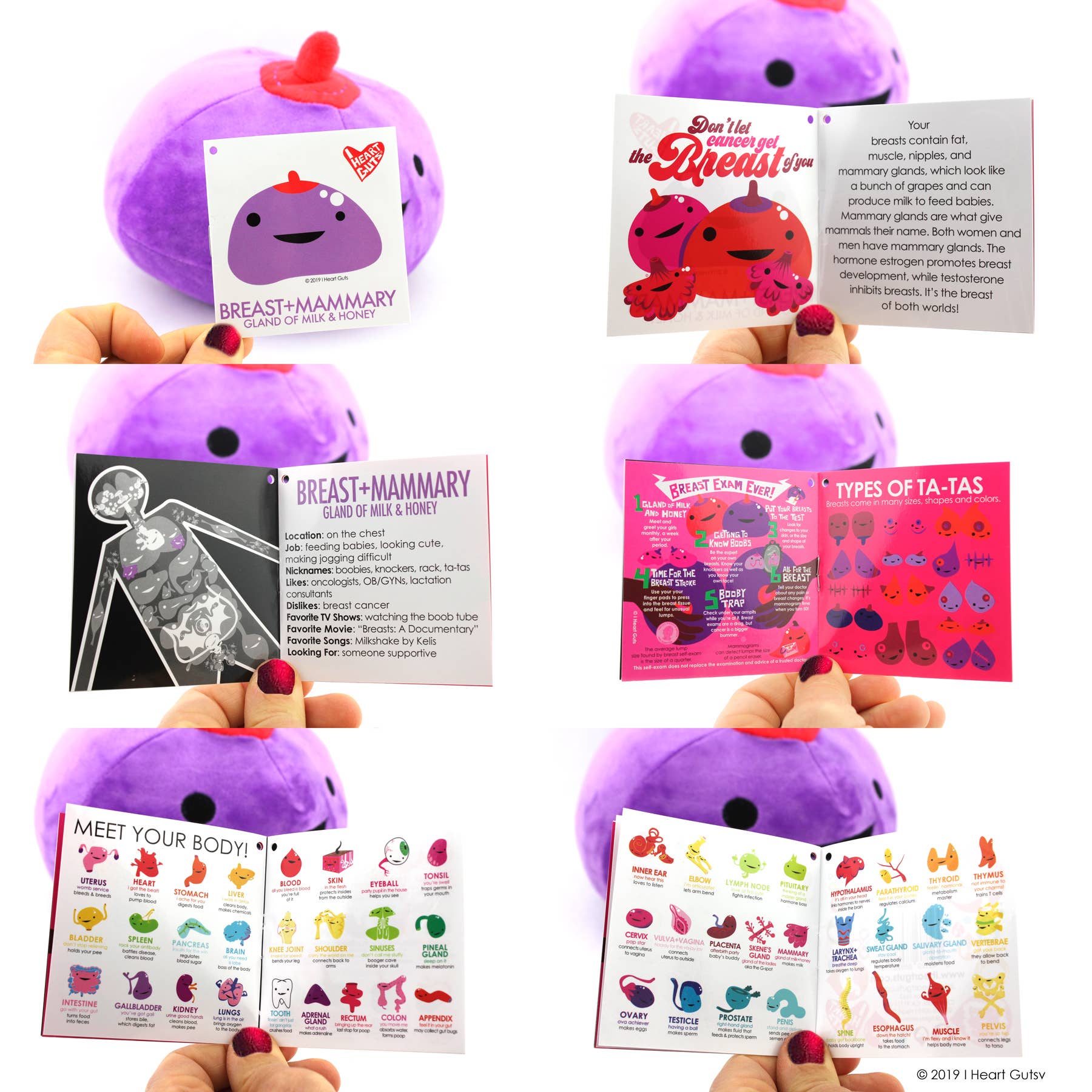 I Heart Guts | Organ Plushies Wholesale - Wholesale Stuffed/Plush Toy - Kids & Baby - Breast Plush -  Gland of Milk + Honey - Self-Exam Included6