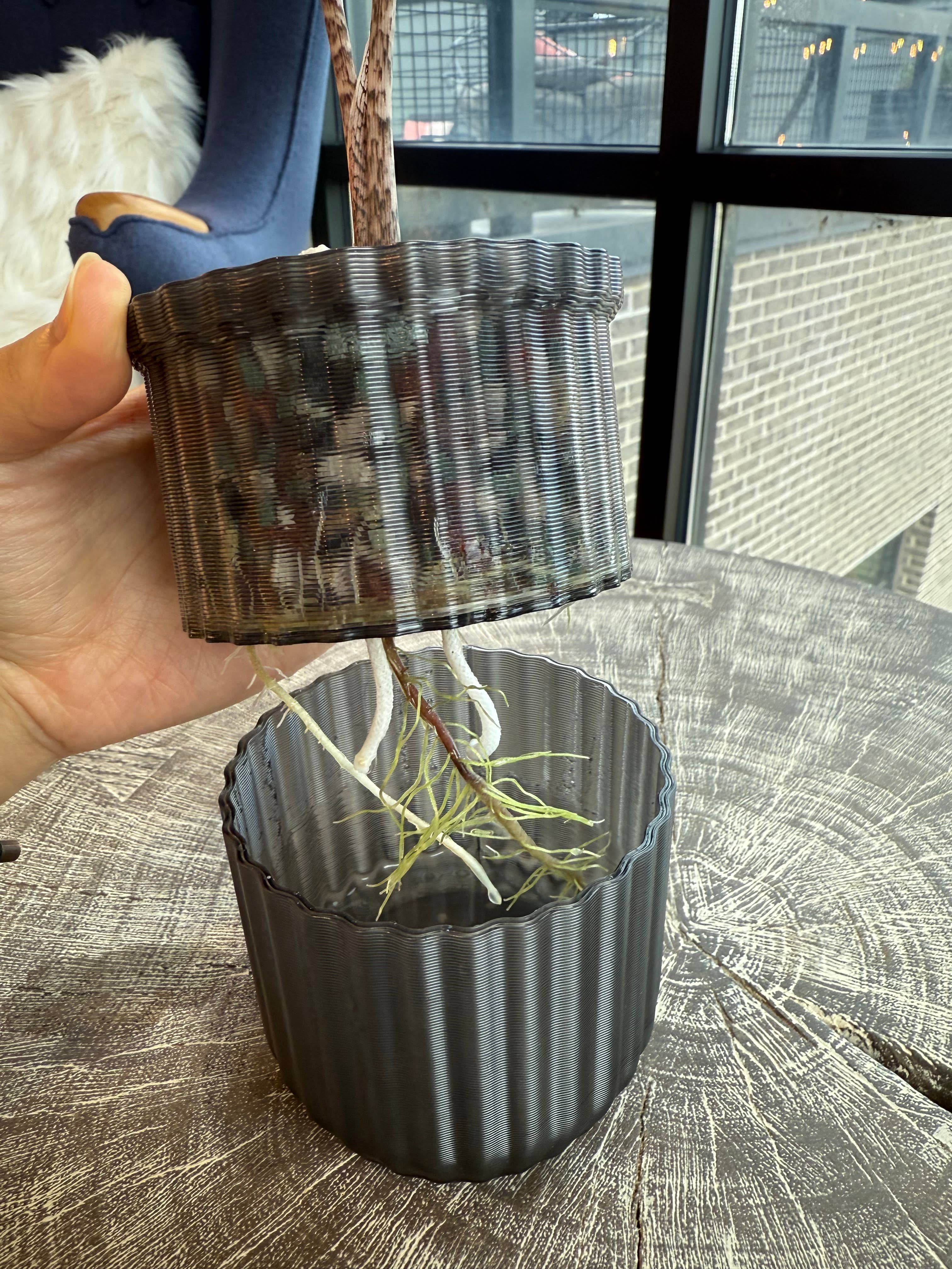 MONKBOTANICALS - Wholesale Plant Pot - 3.5" Monk Classic Self-Watering Planter 7