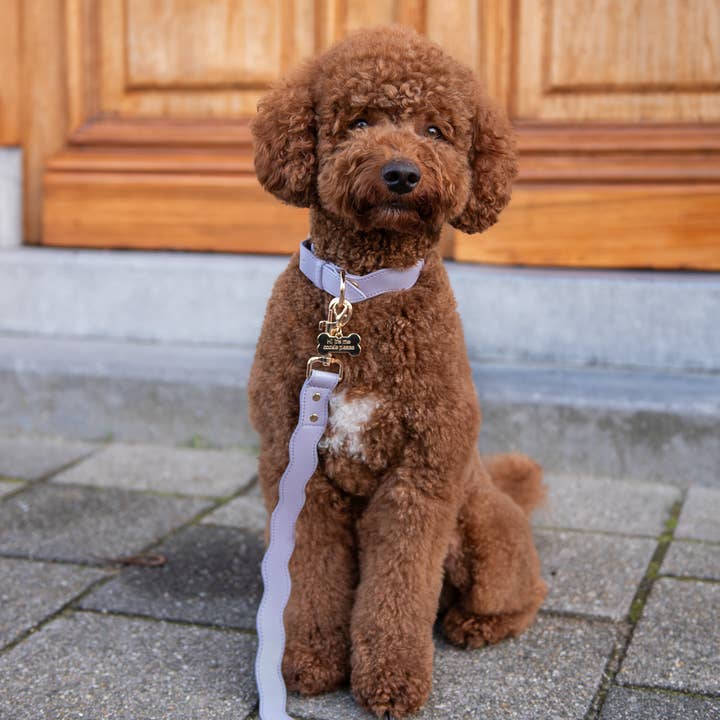 Floofs and Cookies - Wholesale Pet Collar - Dog - Wavy Maggy collar