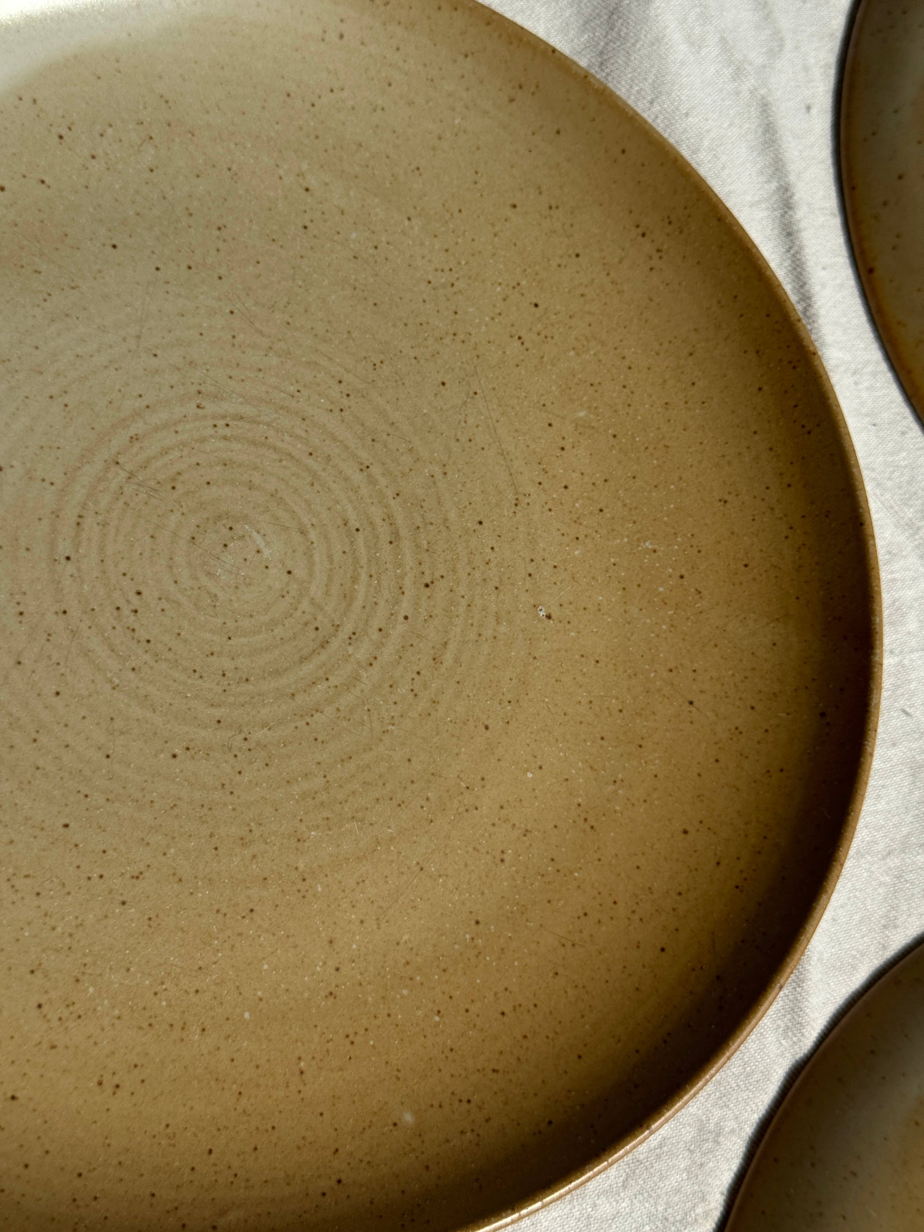 Office Objets - Wholesale Dinner Plate - Set of 6 stoneware plates Village France D2443