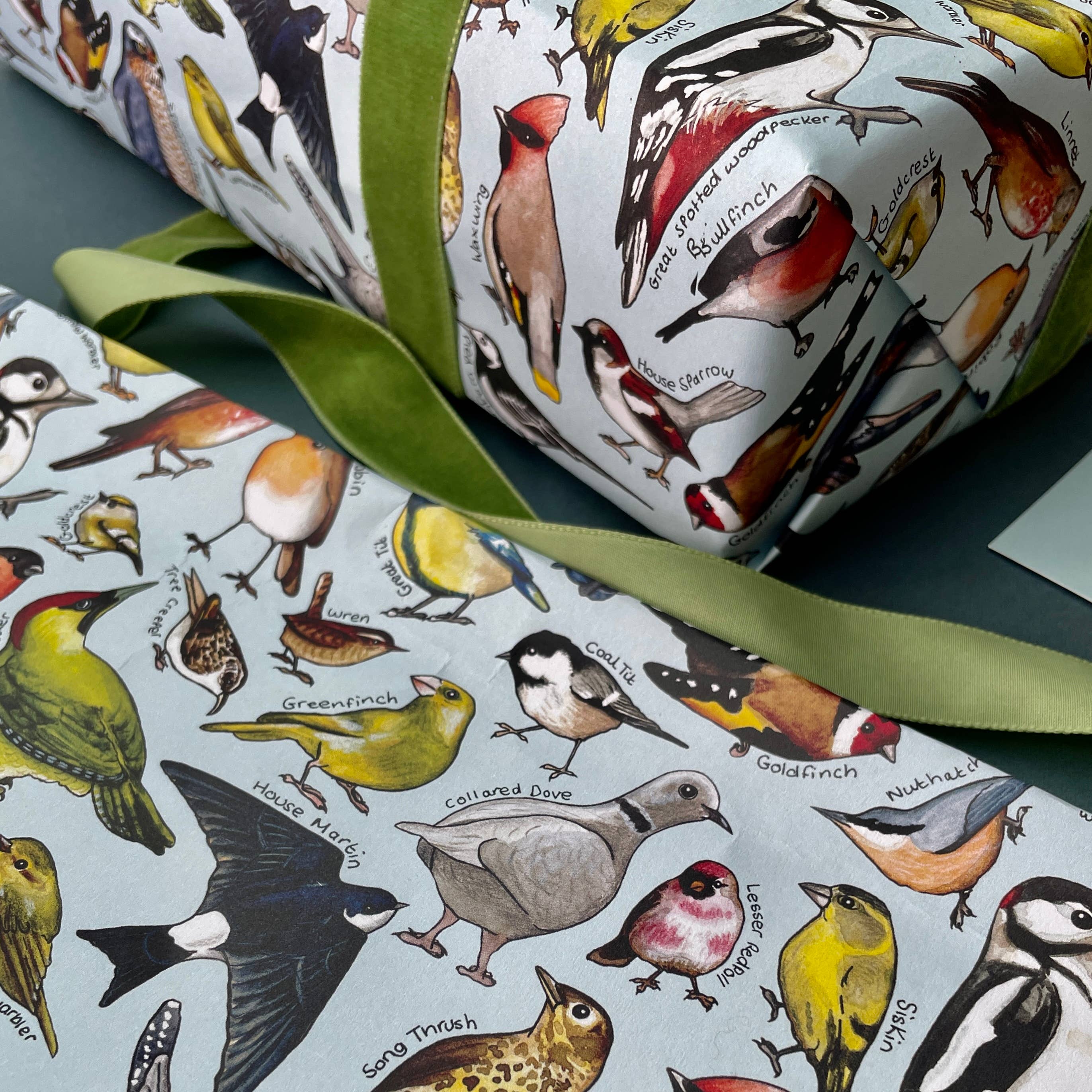 Alexia Claire Ltd - Wholesale Flat Wrap - Garden Birds of Britain wrapping paper Sheets5