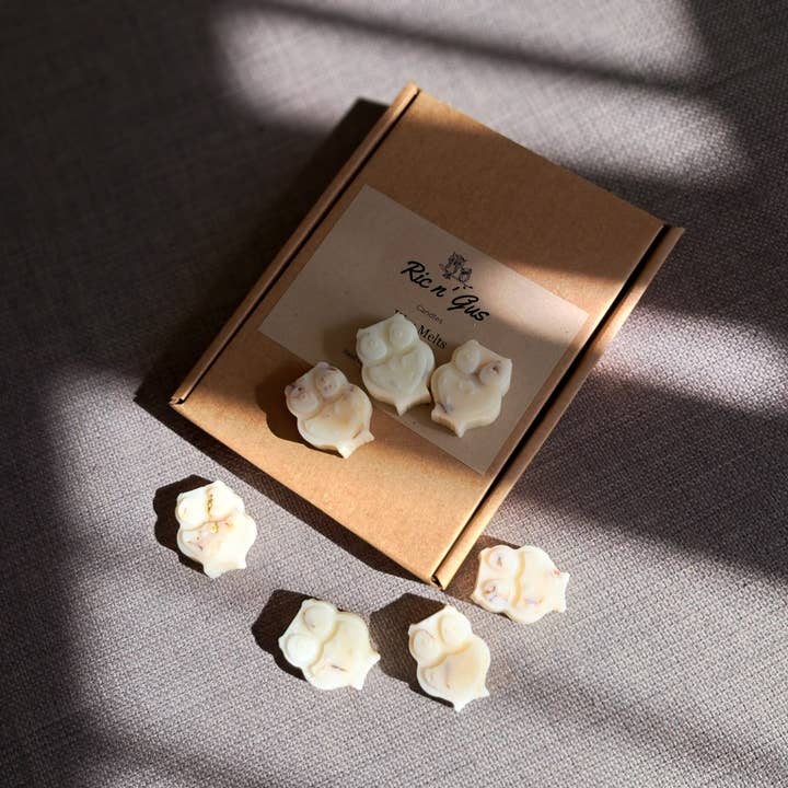 Egyptiska bärnsten doftande botaniska vax smälter för wholesale av Ric n'Gus Candles