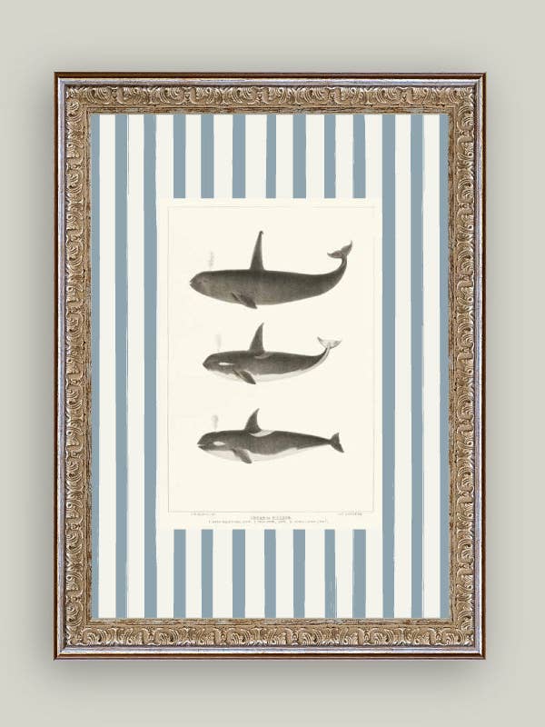 Arte antiguo enmarcado con ballenas sobre rayas para venta al por mayor de Petal Lane Home