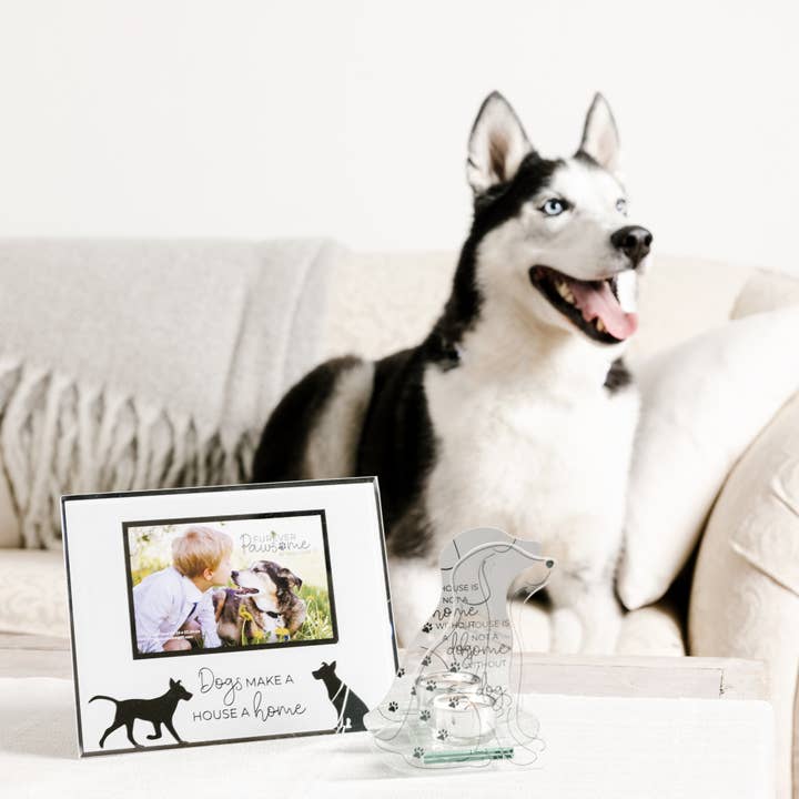 Pavilion - Wholesale Picture Frame - Dogs - 9.25" x 7.25" Frame
(Holds 6" x 4" Photo)2