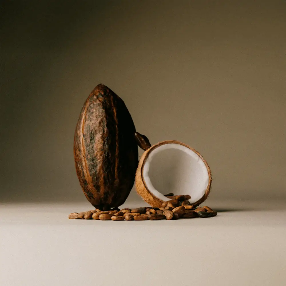 The Conscious Bar – Engroshandel Chokoladebar – Daddelsødet mørk chokolade - Ristede kokosflager1