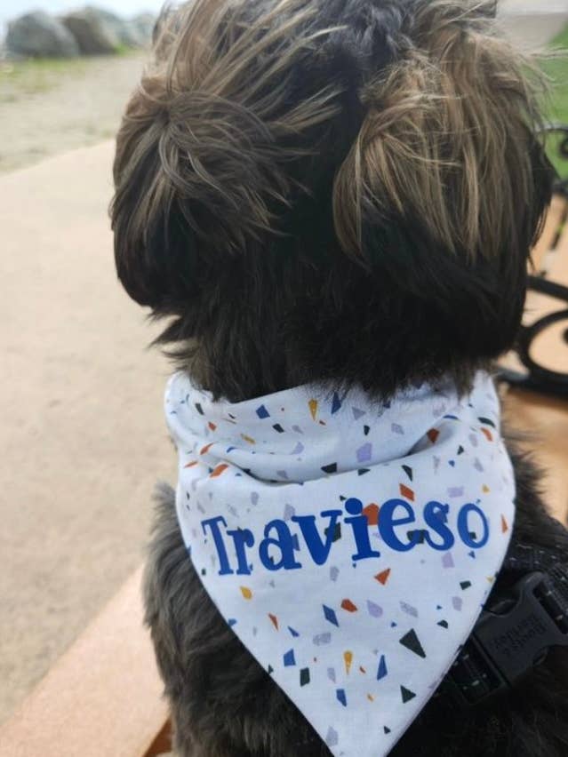Travieso Huisdier Bandana voor wholesale door La Beks