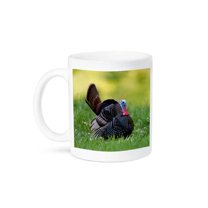 3dRose - Wholesale Coffee Mug - 3dRose, Eastern Wild Turkey gobbler strutting in field, Holmes Co. MS, Mug8