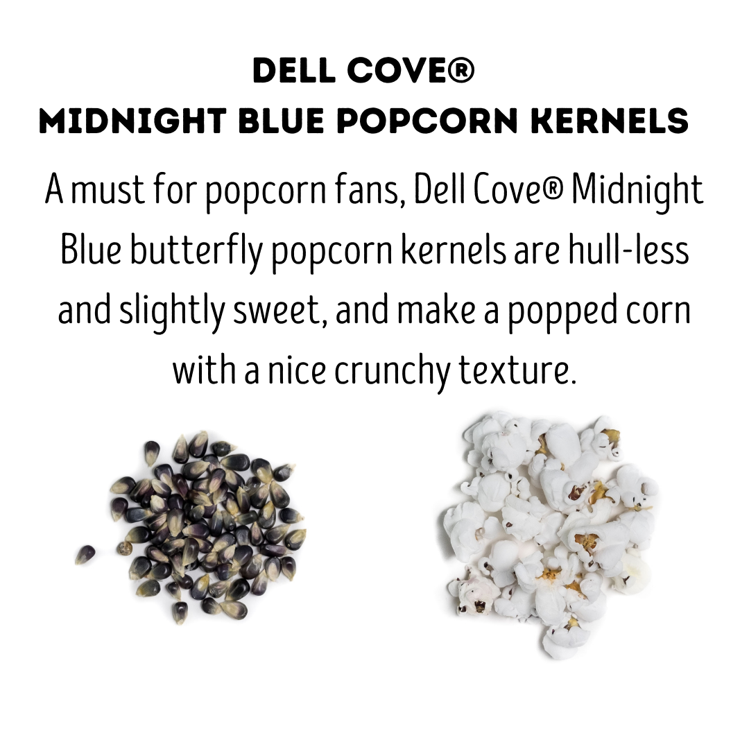 Dell Cove Spices & More Co. – wholesale Popcorn kernels – Midnight Blue Popcorn Kernels - 2 Pound Bag - Gamer Snacks2