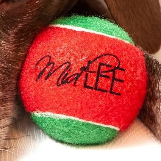 Midlee Candy Cane Christmas Hund Tennisbollar 2,5 ”w/Squeaker för wholesale av Midlee Designs