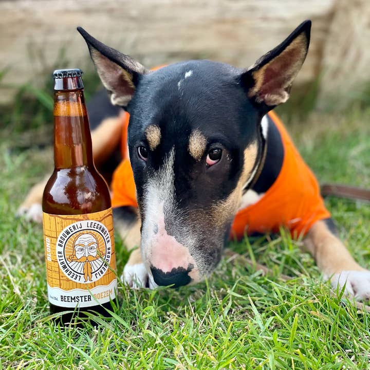 Brouwerij Leeghwater - Wholesale Beer - Brewery Leeghwater Beemster Boezem Blond beer 33cl1