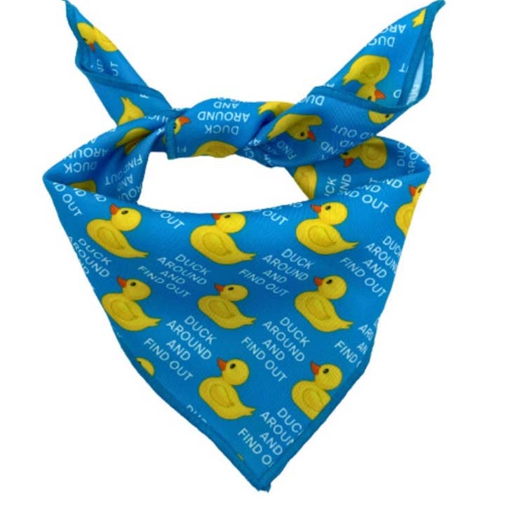 Duck Around And Find Out - Funny Tie On Dog Bandana for wholesale by Woofingtons & Company