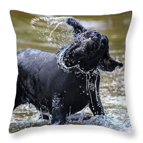 CUSCINO "THE ITALIAN COURSE DOG'S DROPS" per la vendita all'ingrosso da parte di sorayadapuzzostore