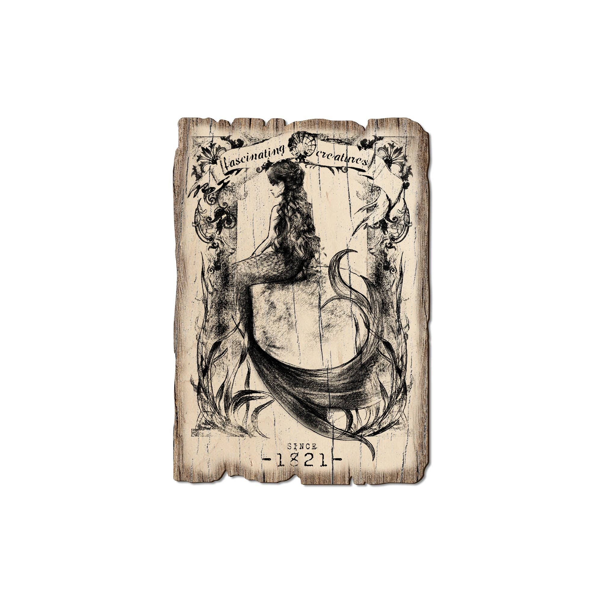 DaydreamHQ - Wholesale Postcard - Fascinating Mermaid - Wood Rustic Beach Postcards & Magnets1