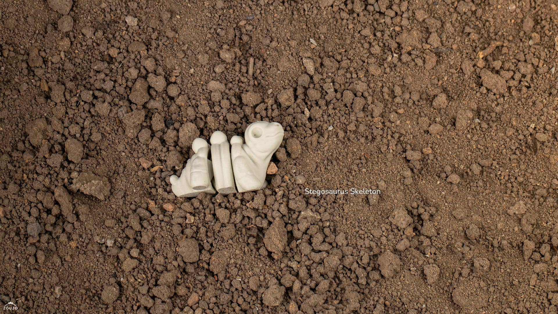 Great American Designs - Venta al por mayor Pelota antiestrés - Niños - Juguete Impreso en 3D de Esqueleto de Pequeño Bebé Estegosaurio