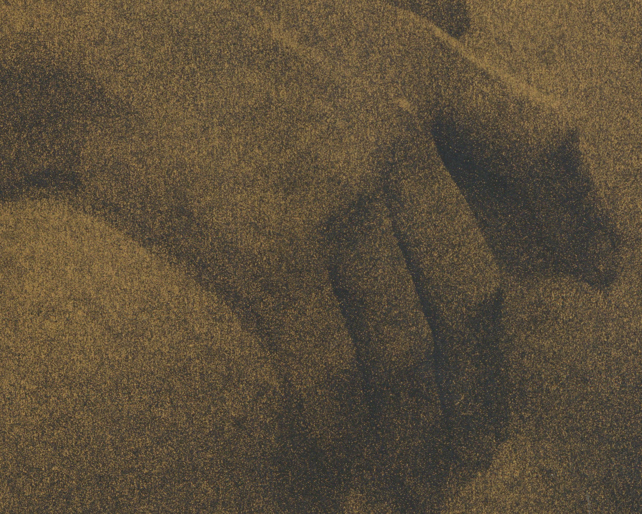 Back of Beyond Press - Wholesale Art Print - Bernini Prosperina Roman Statue - Golden Risograph Print2