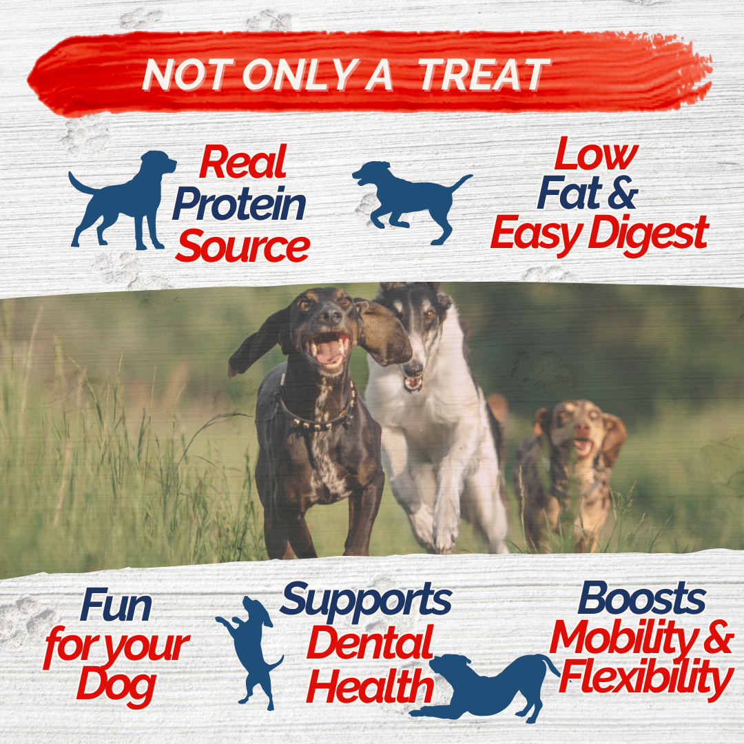 Fresh Farms Pet - Wholesale Pet Treats - Dog - Fresh Farms 2 Pounds Sweet Potato & Chicken Jerky Dog Treats, Rawhide Free3