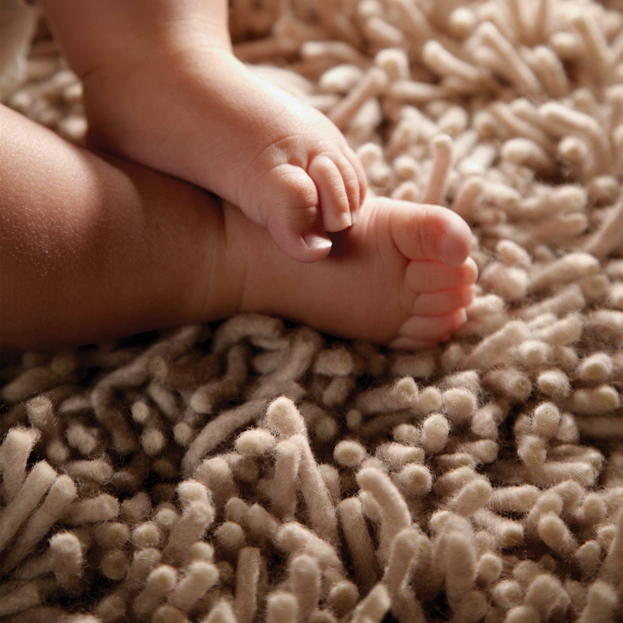 Phoenox Textiles - Wholesale Area Rug - Rug Guru Imperial Latte2