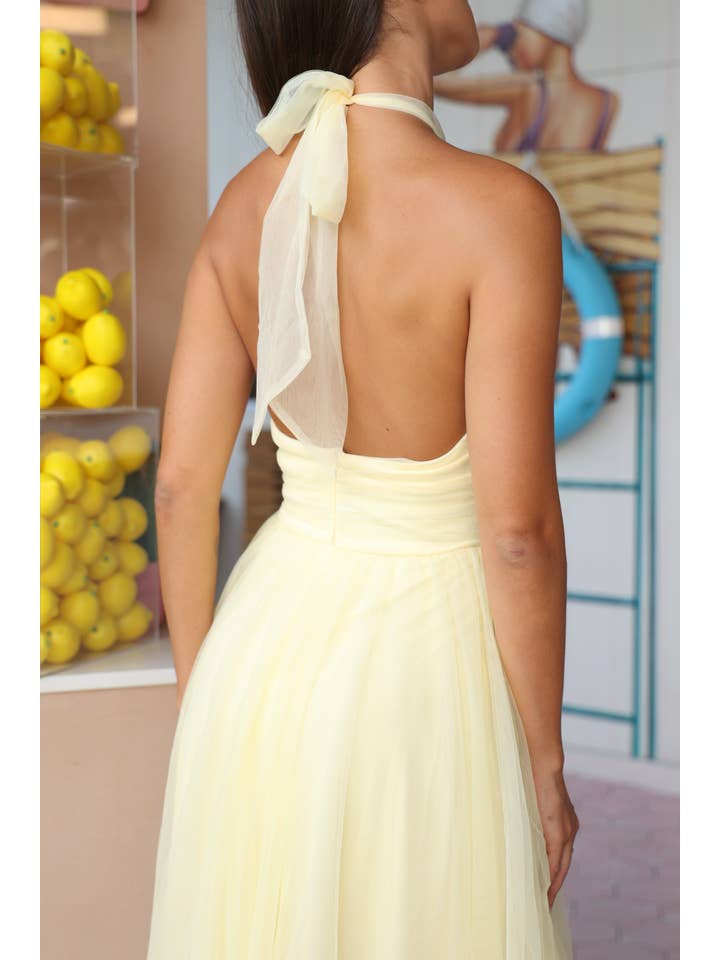 Vera Tulle Midi Dress in Butter Yellow for wholesale on Faire1