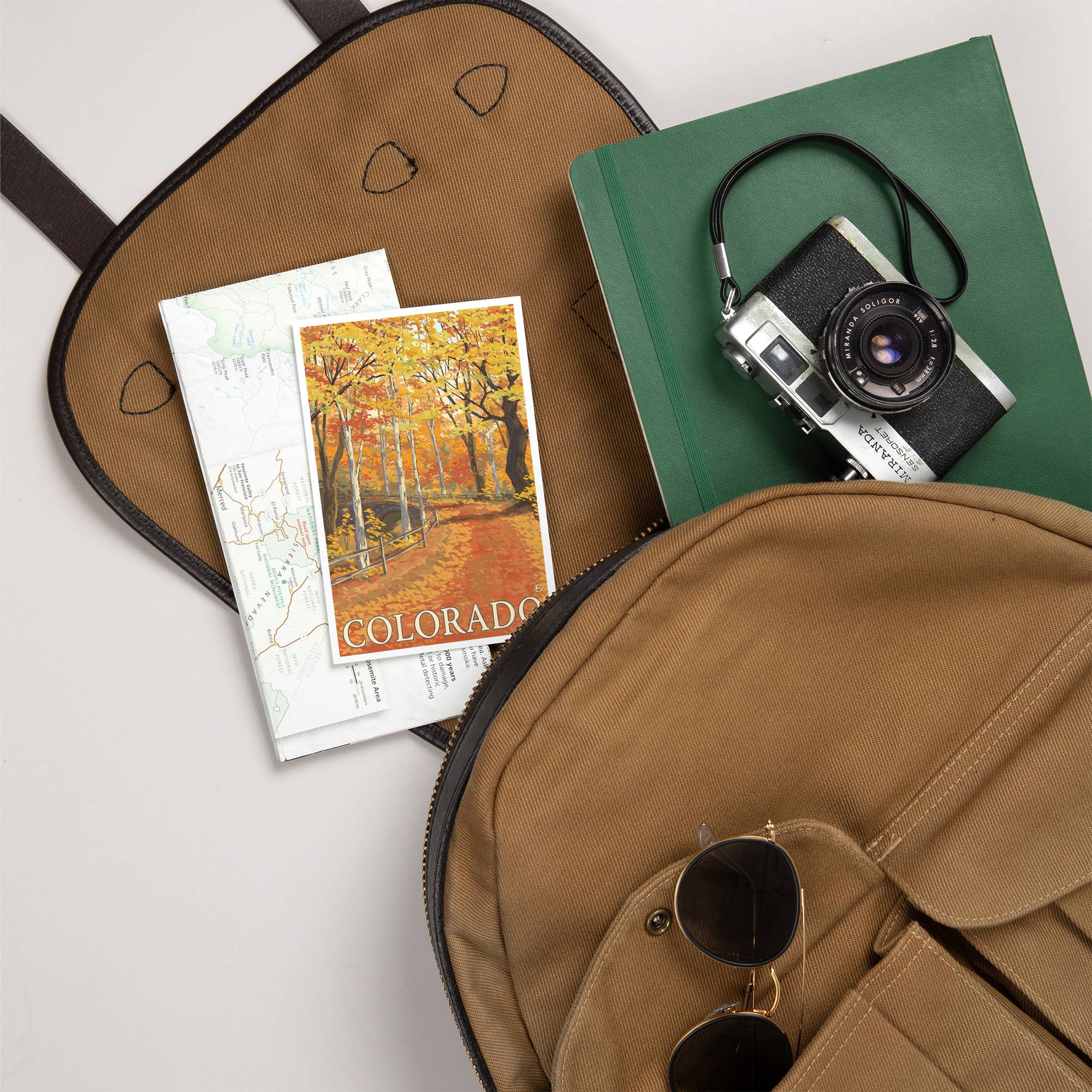 Lantern Press - Venta al por mayor Tarjeta postal - POSTALES PREMIUM Colorado, escena de colores otoñales5