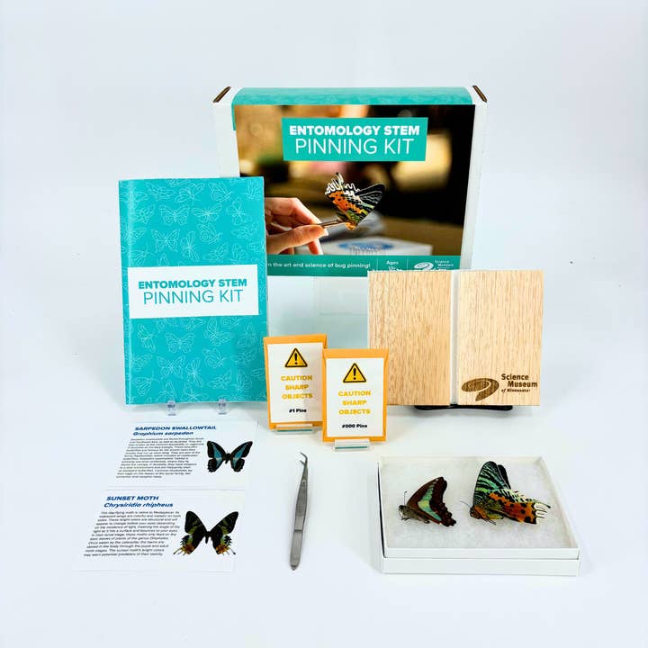 Science Museum of Minnesota - Wholesale DIY Craft Kit - Entomology STEM Pinning Kit - Museum-Designed Science Kit1