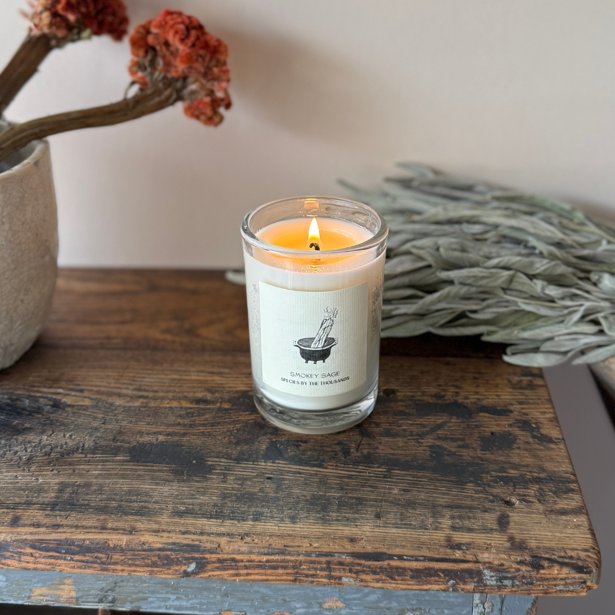 Species by the Thousands - Wholesale Jar/Filled Candle - Smokey Sage Handcrafted Scented Soy Candle1