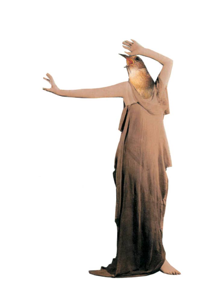 Ai meu Deus, mais um aniversário! por atacado de Rare Bird