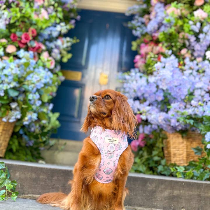 The Paw Print Boutique - Wholesale Pet Harness - Dog - Mermaids Tails Adventure Paws Harness20