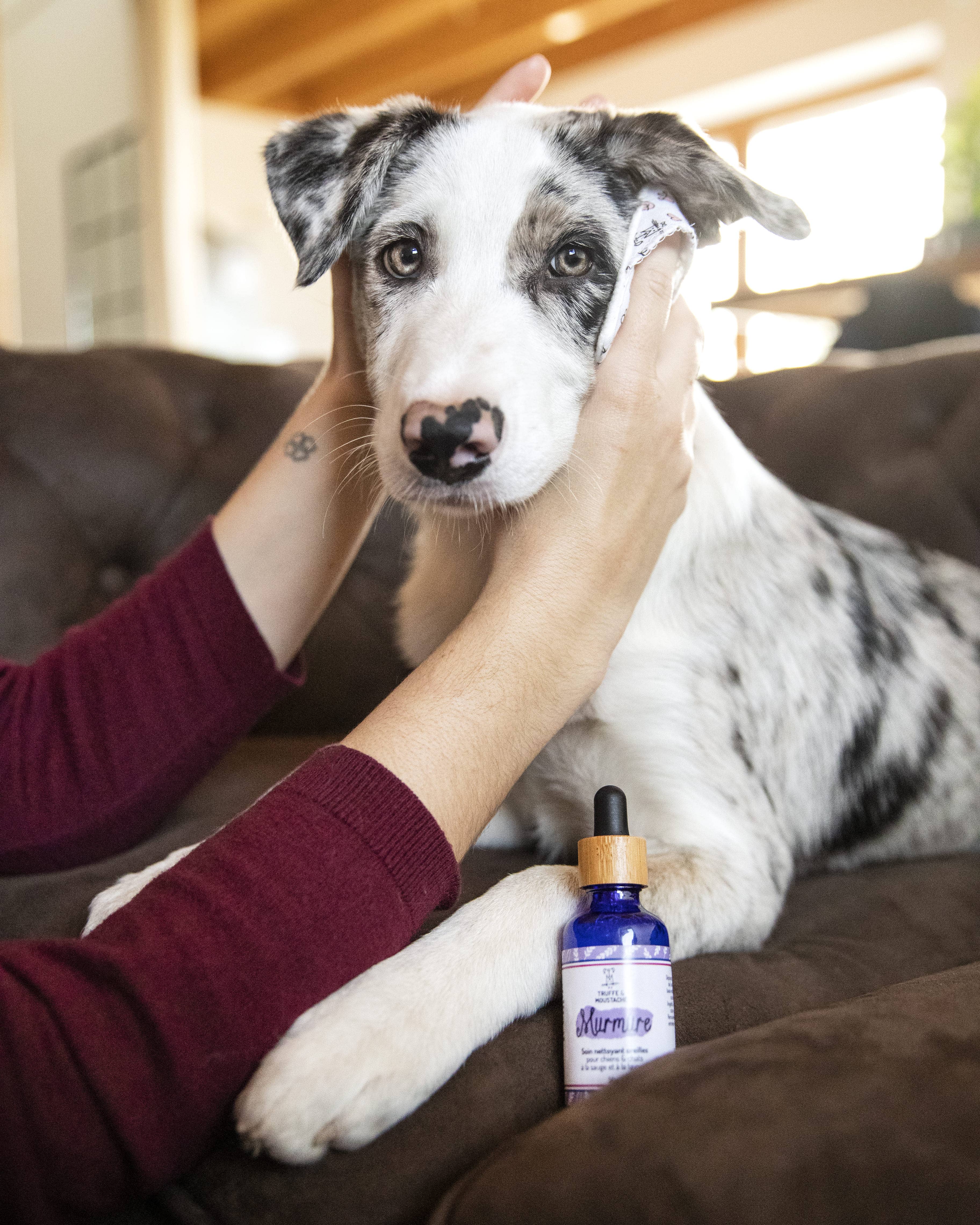 Truffe & Moustache - Vendita all'ingrosso Prodotti per la pulizia degli animali - Detergente auricolare naturale al 96% per cani e gatti, « Whisper »12